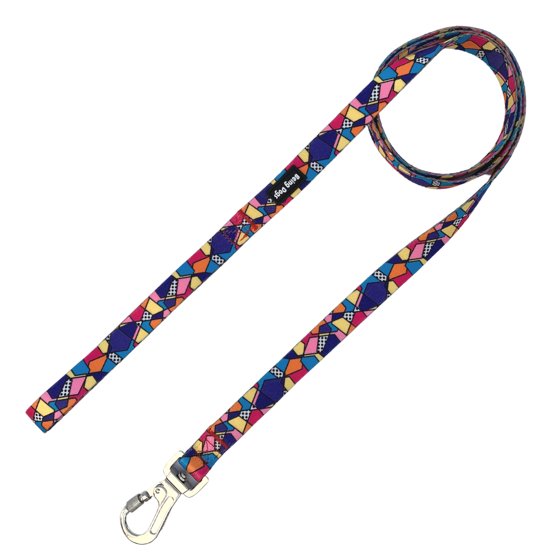 Geometrical Print Dog Leash With Metal Hook & Collar Combo