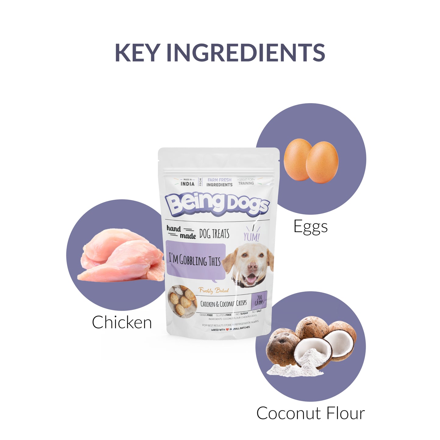 Chicken & Coconut Crisps