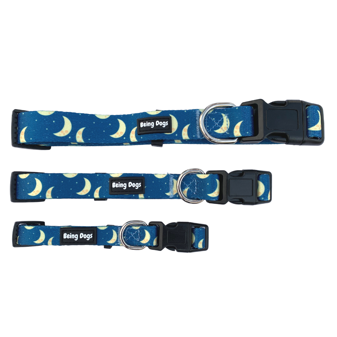 Moons & Stars Dog Collar