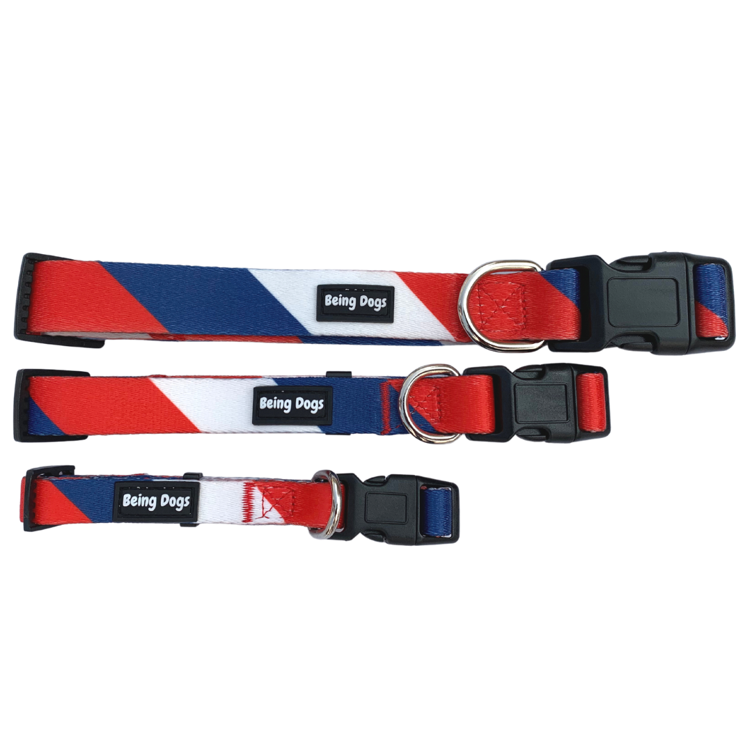 Colour Block Dog Collar