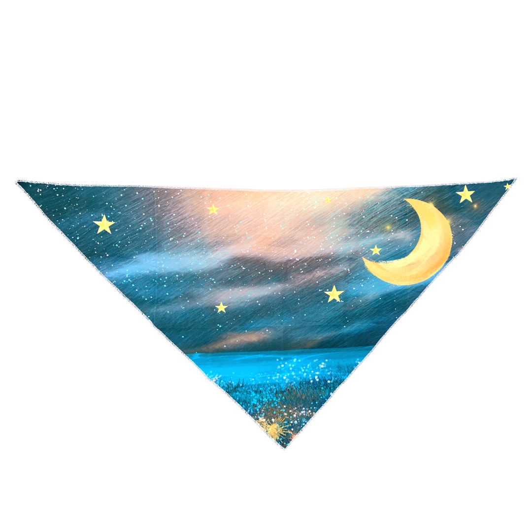 Night Sky Dog Bandana