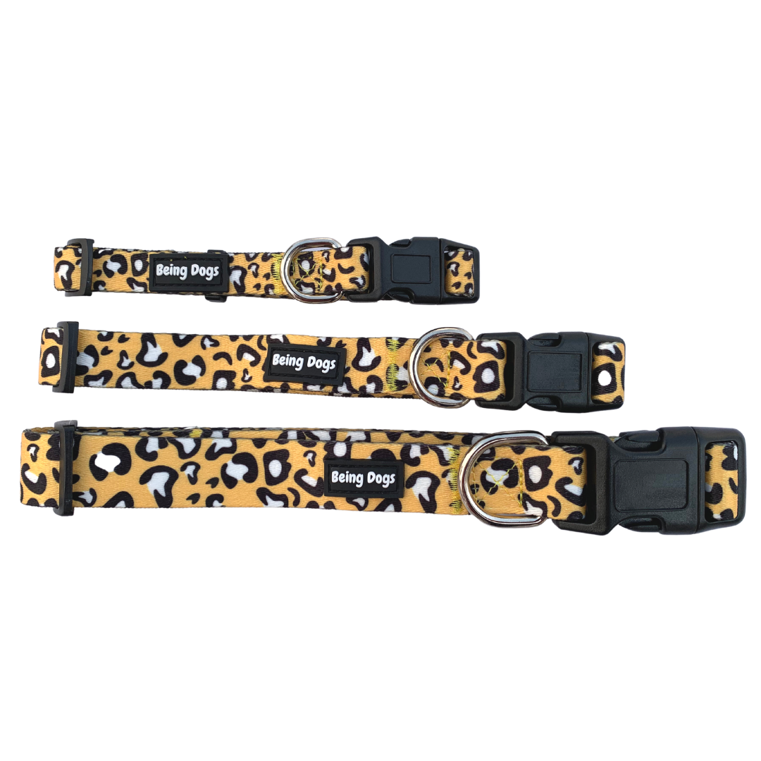 Animal Print Dog Collar