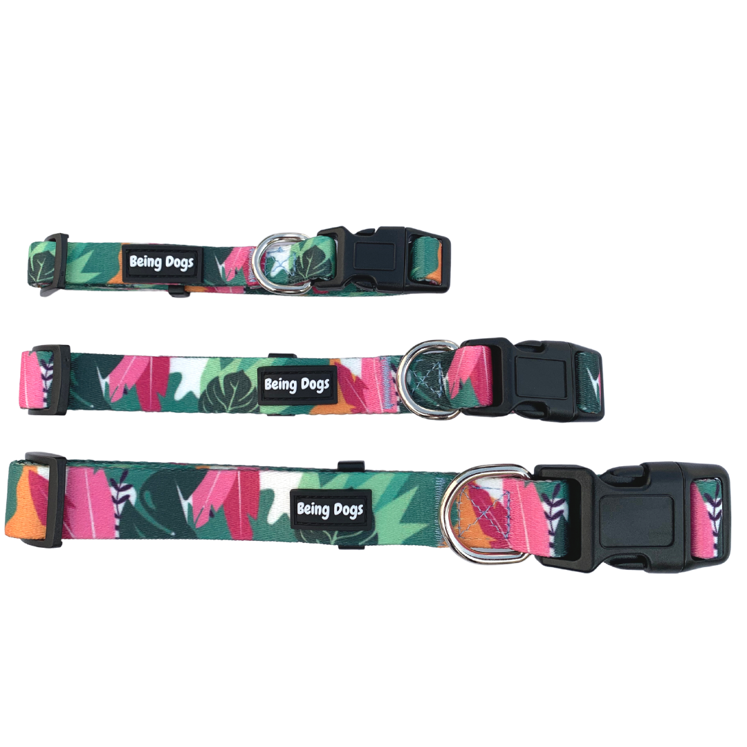 Tropical Print Dog Collar