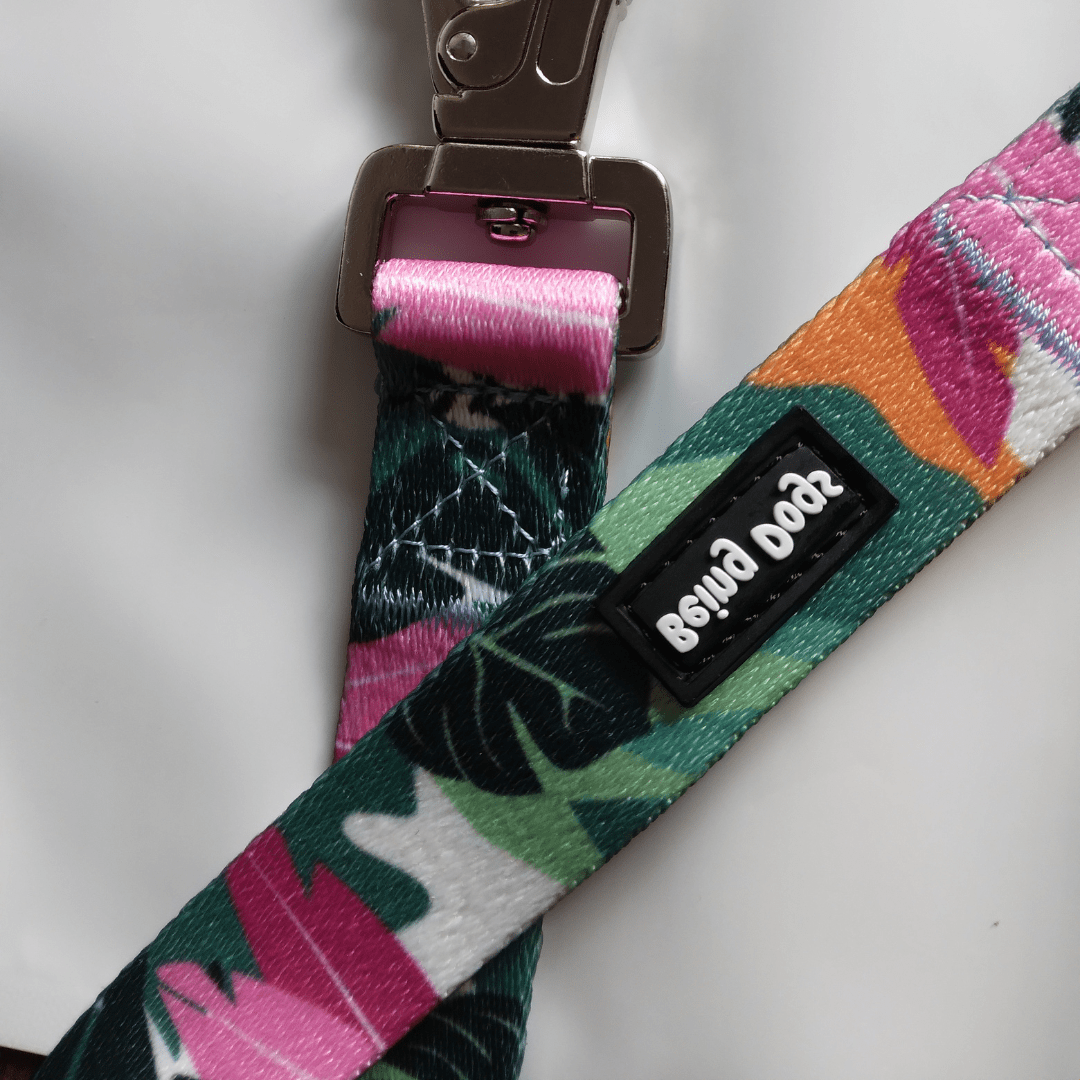 Tropical Print Dog Leash With Metal Hook & Collar Combo