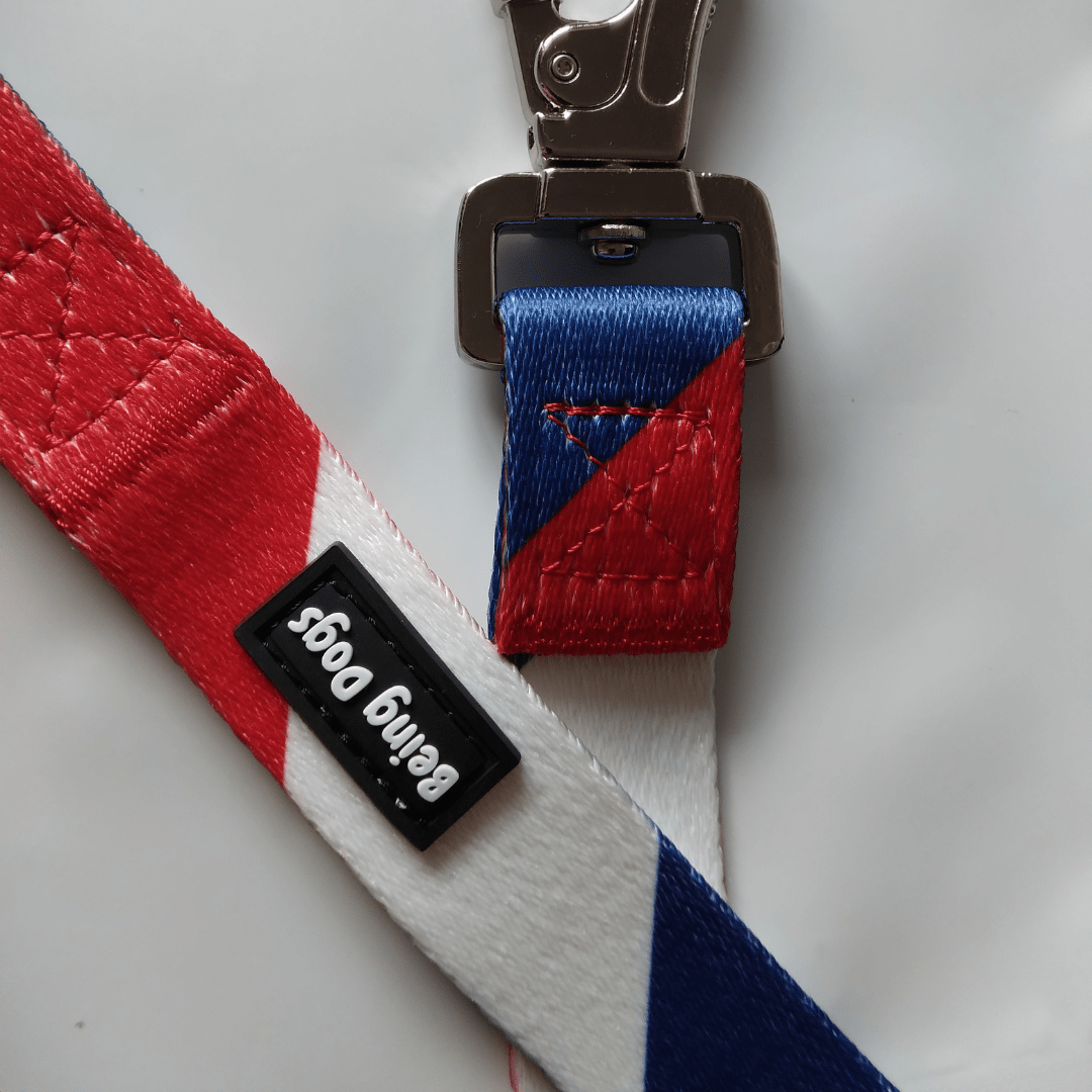 Colour Block Dog Leash With Metal Hook & Collar Combo