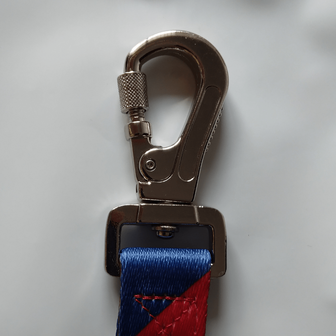 Colour Block Dog Leash With Metal Hook & Collar Combo