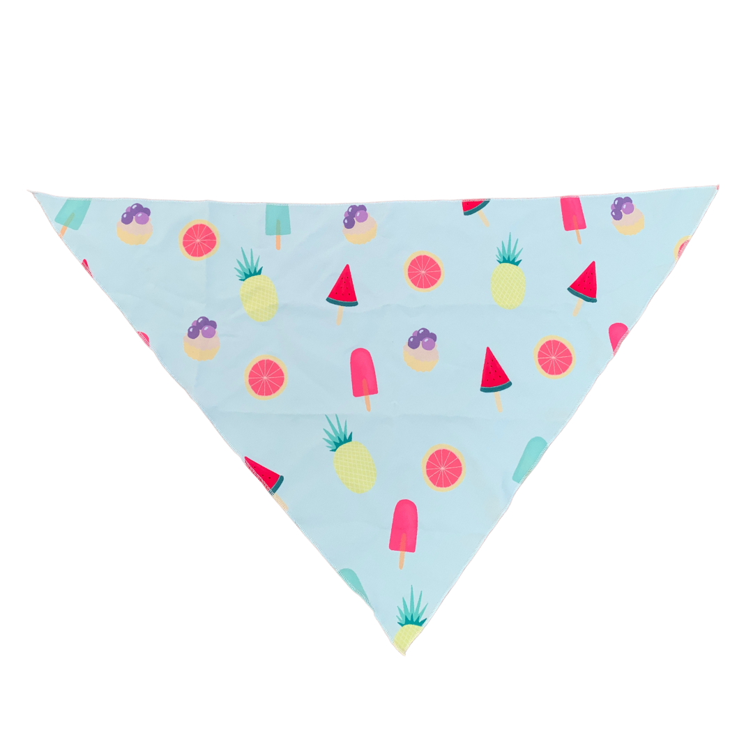 Summer Design Dog Bandana