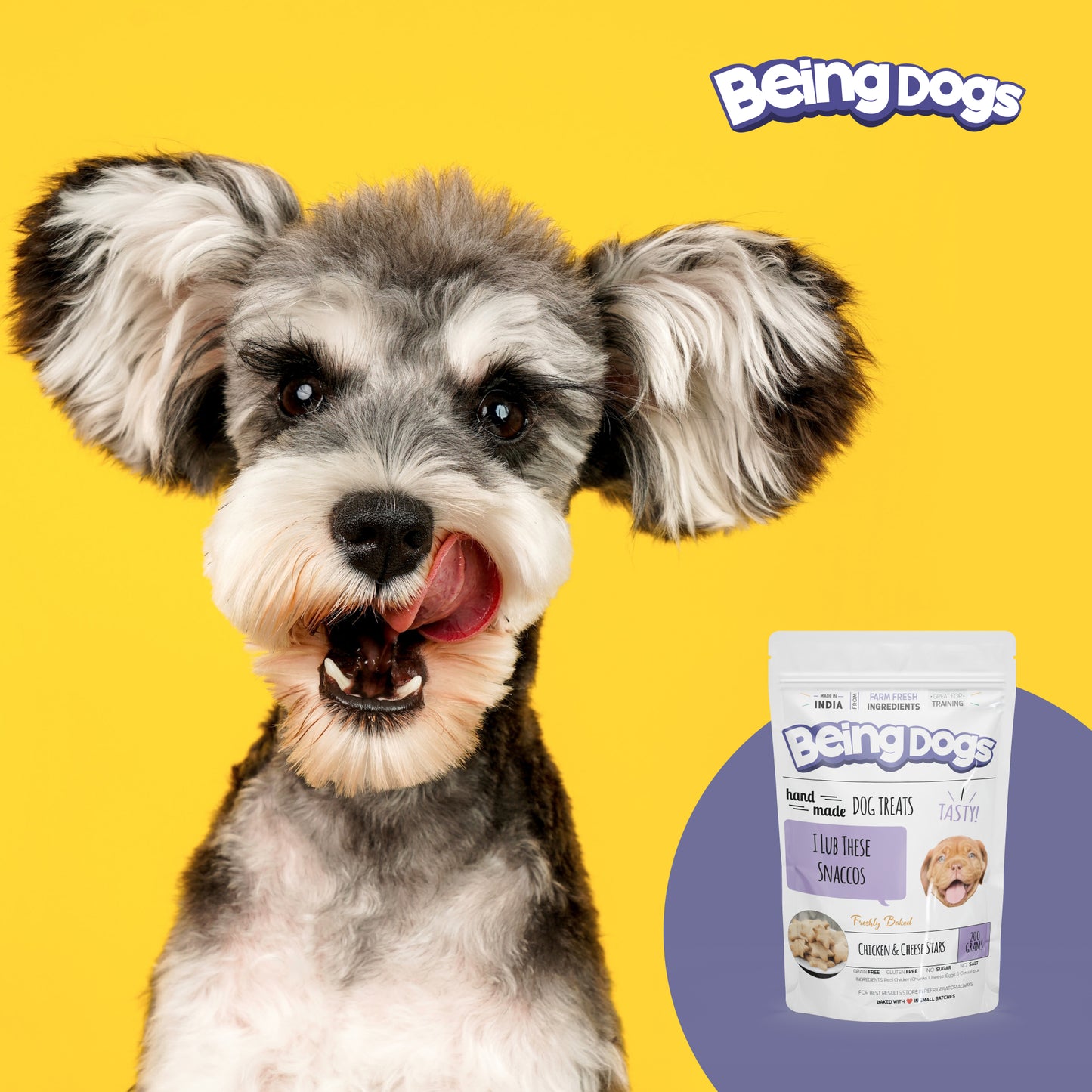 Chicken & Cheese Stars For Dogs