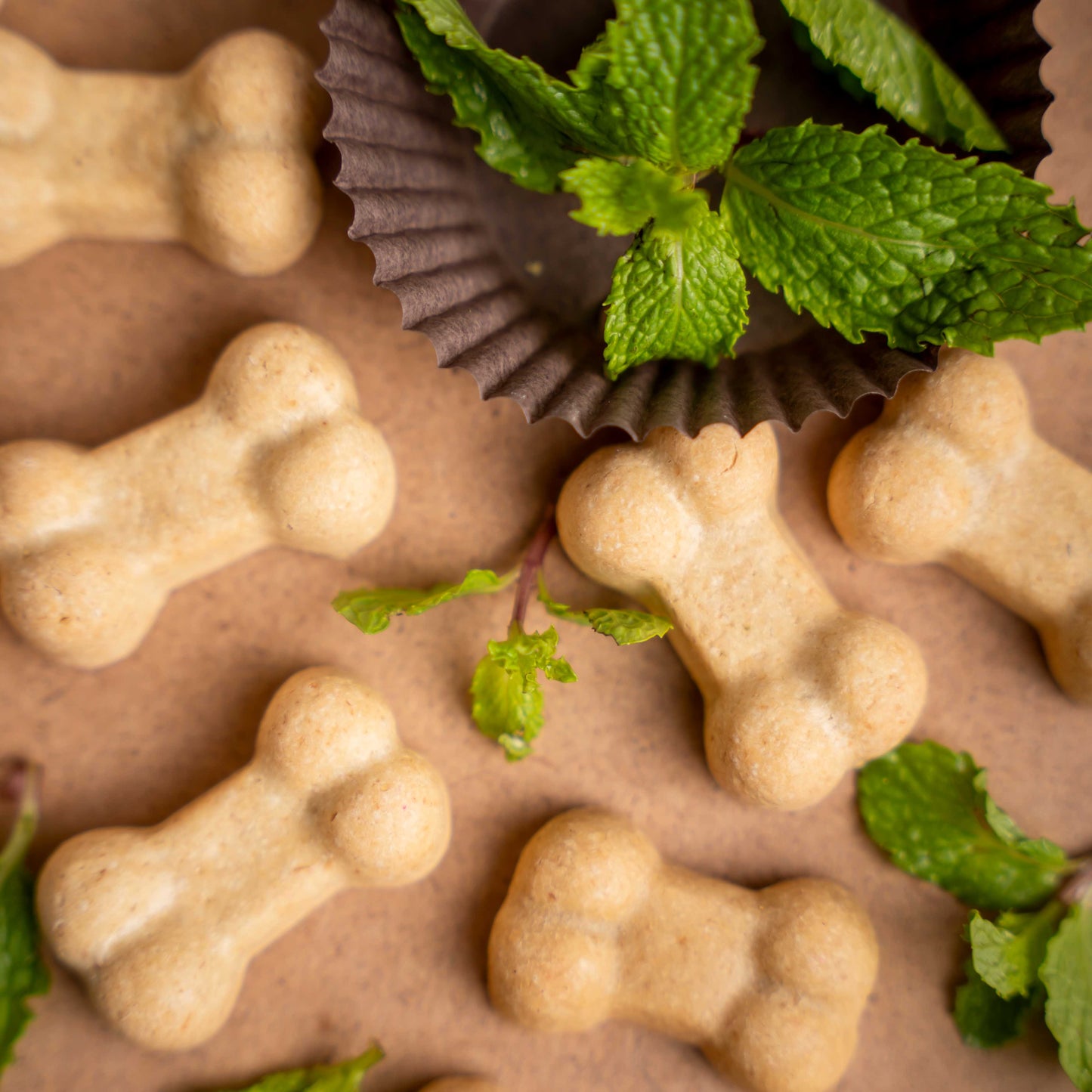 Minty Orchard