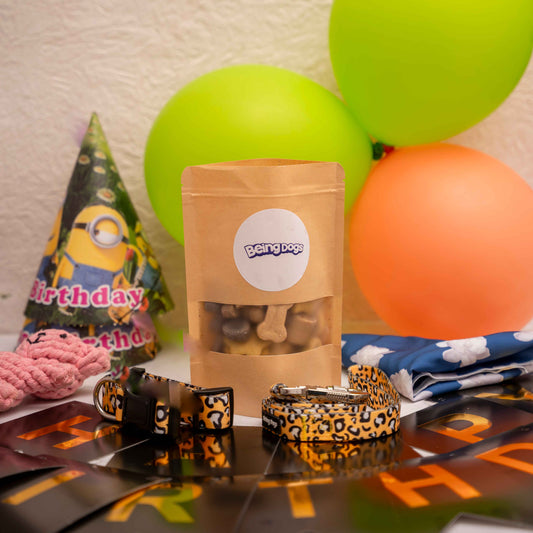 Dog Birthday Celebration Kit (Large)
