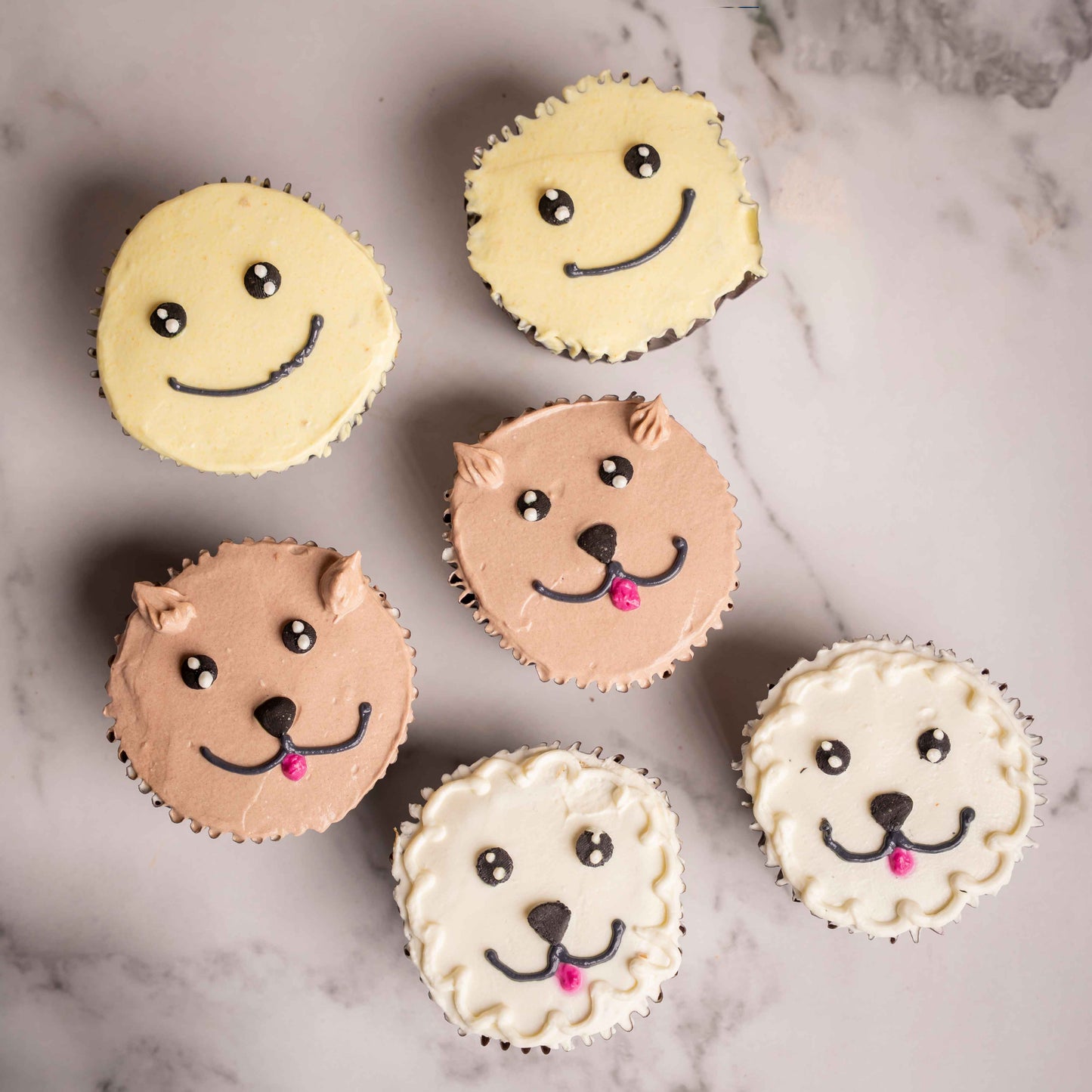 Assorted Pupcakes