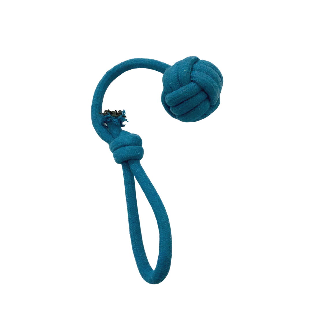 Fetch Ball Blue Rope Toy