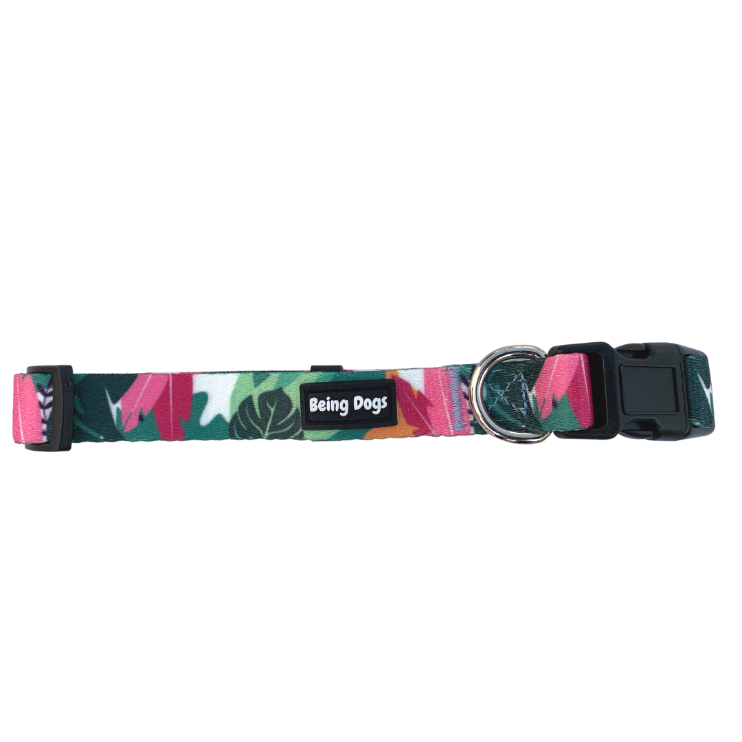 Tropical Print Dog Collar