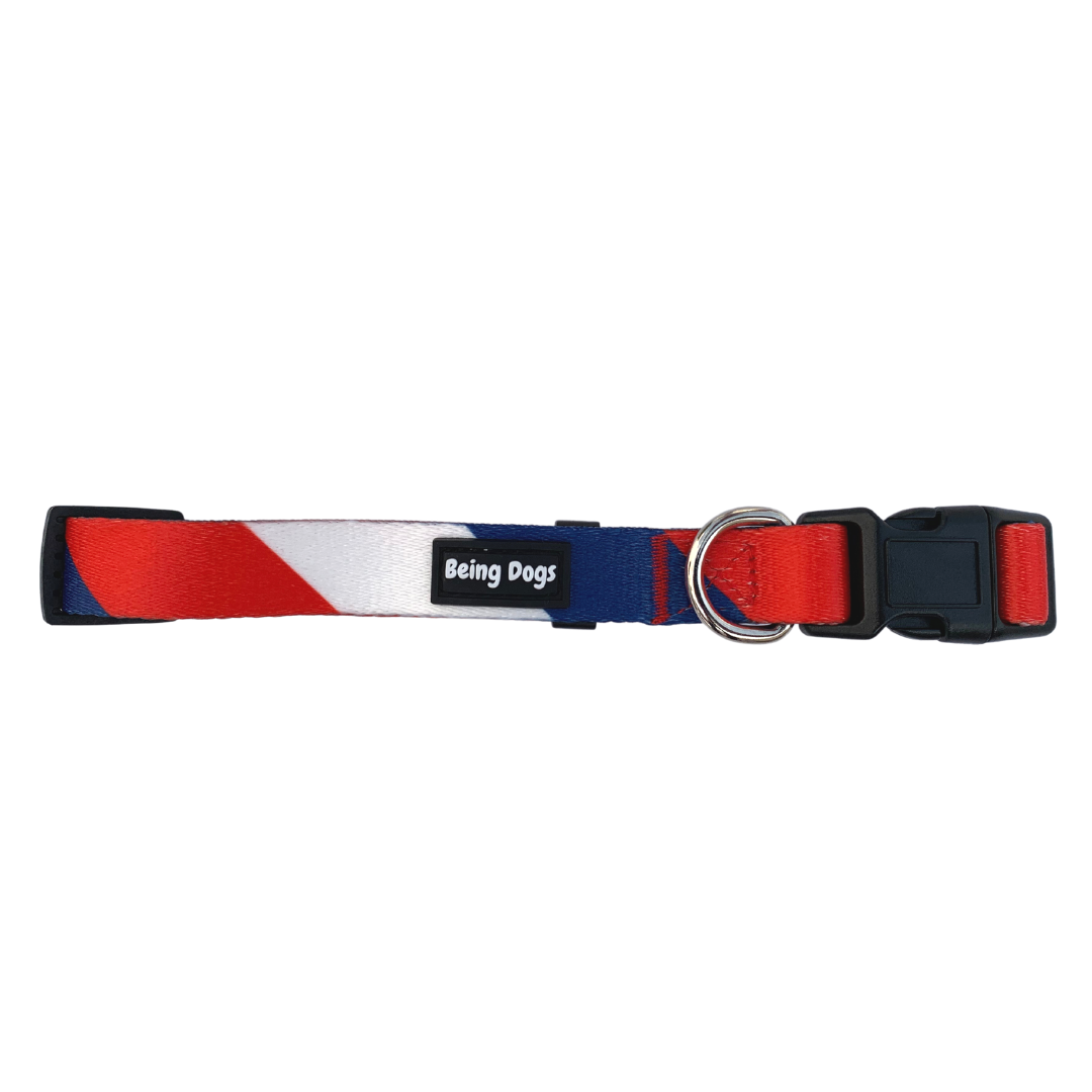 Colour Block Dog Collar