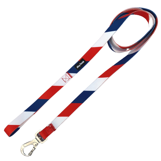Colour Block Dog Leash With Metal Hook