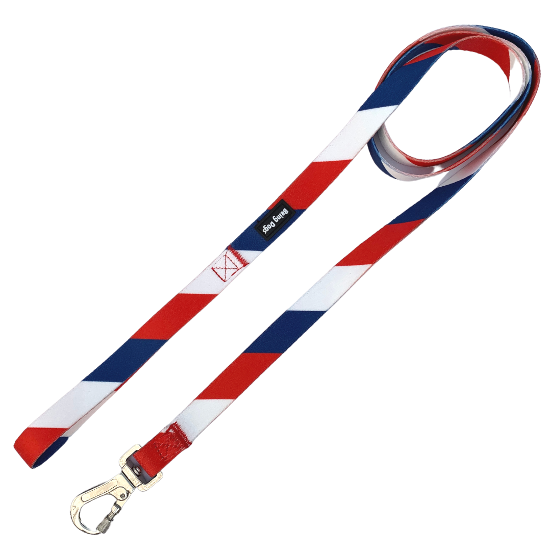 Colour Block Dog Leash With Metal Hook & Collar Combo