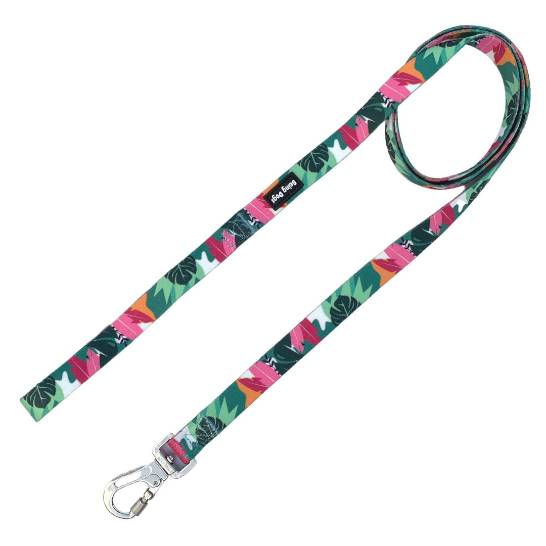 Nike clearance dog leash