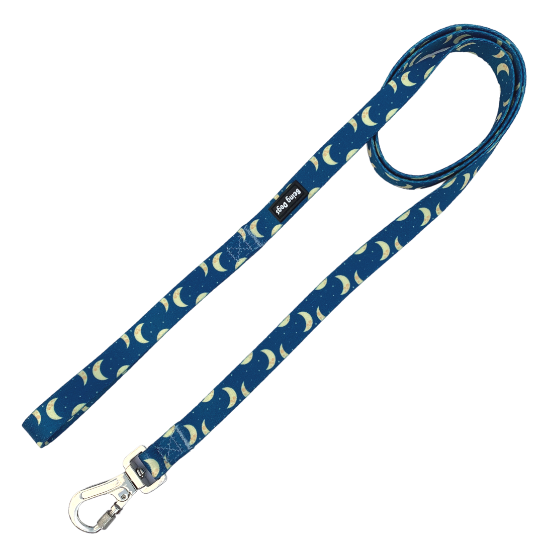 Moons & Stars Dog Leash With Metal Hook & Collar Combo