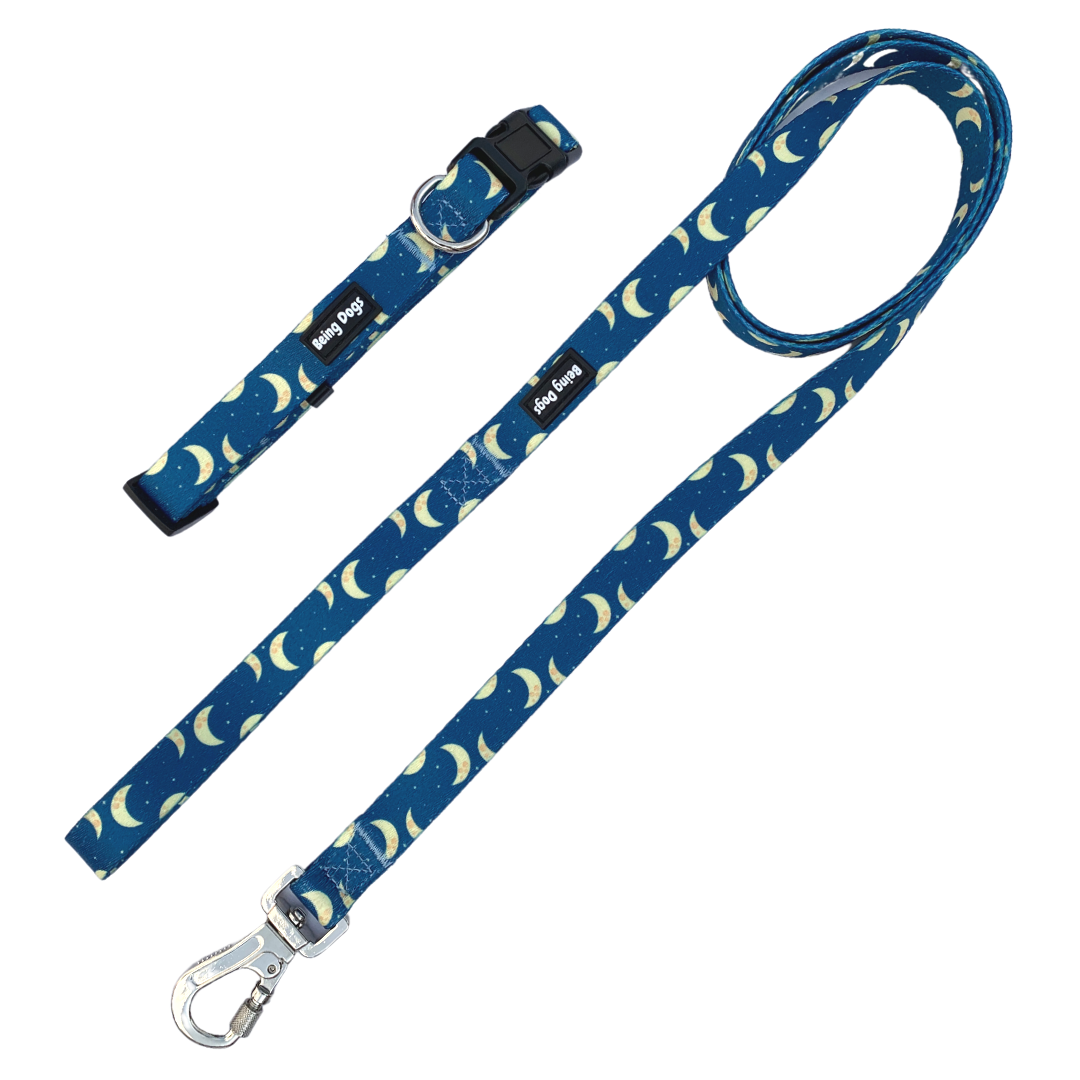 Moons & Stars Dog Leash With Metal Hook & Collar Combo