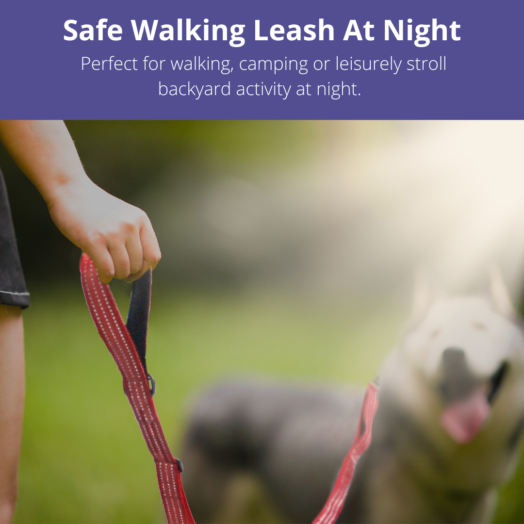 Premium Dog Car Adjustable Safety Seat Belt & Dog Leash, Nylon Elastic, Padded Handle Bungee, With Metal Hook & Buckle (Black), 1 Piece