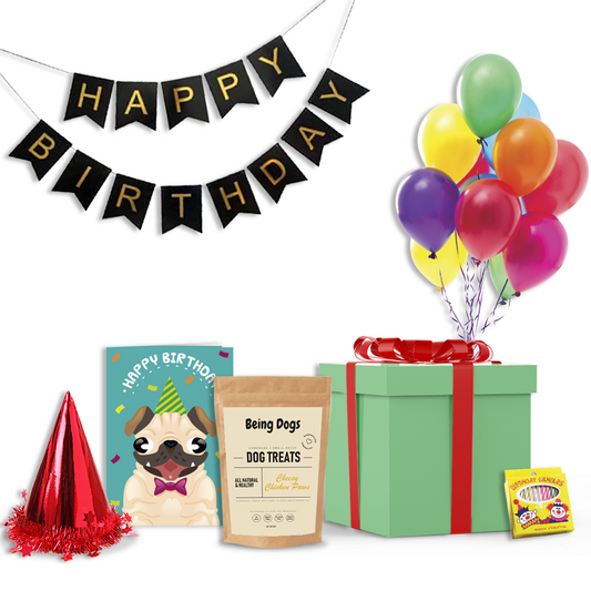 Dog Birthday Celebration Kit