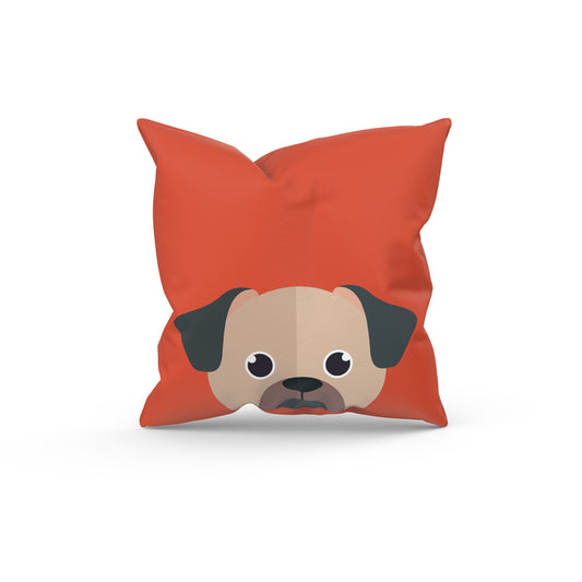 Orange Cushion Cover (Cover & Cushion Both Included)