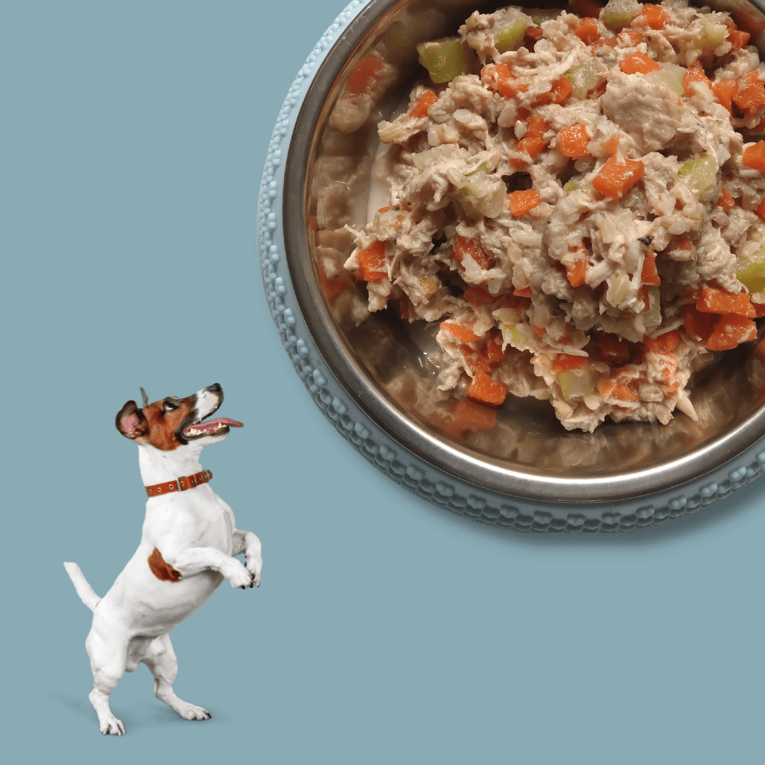 Fresh Meals For Dogs Monthly Plan (60 Meals), Customised, Made Fresh Daily, Zero Preservatives, High In Protein