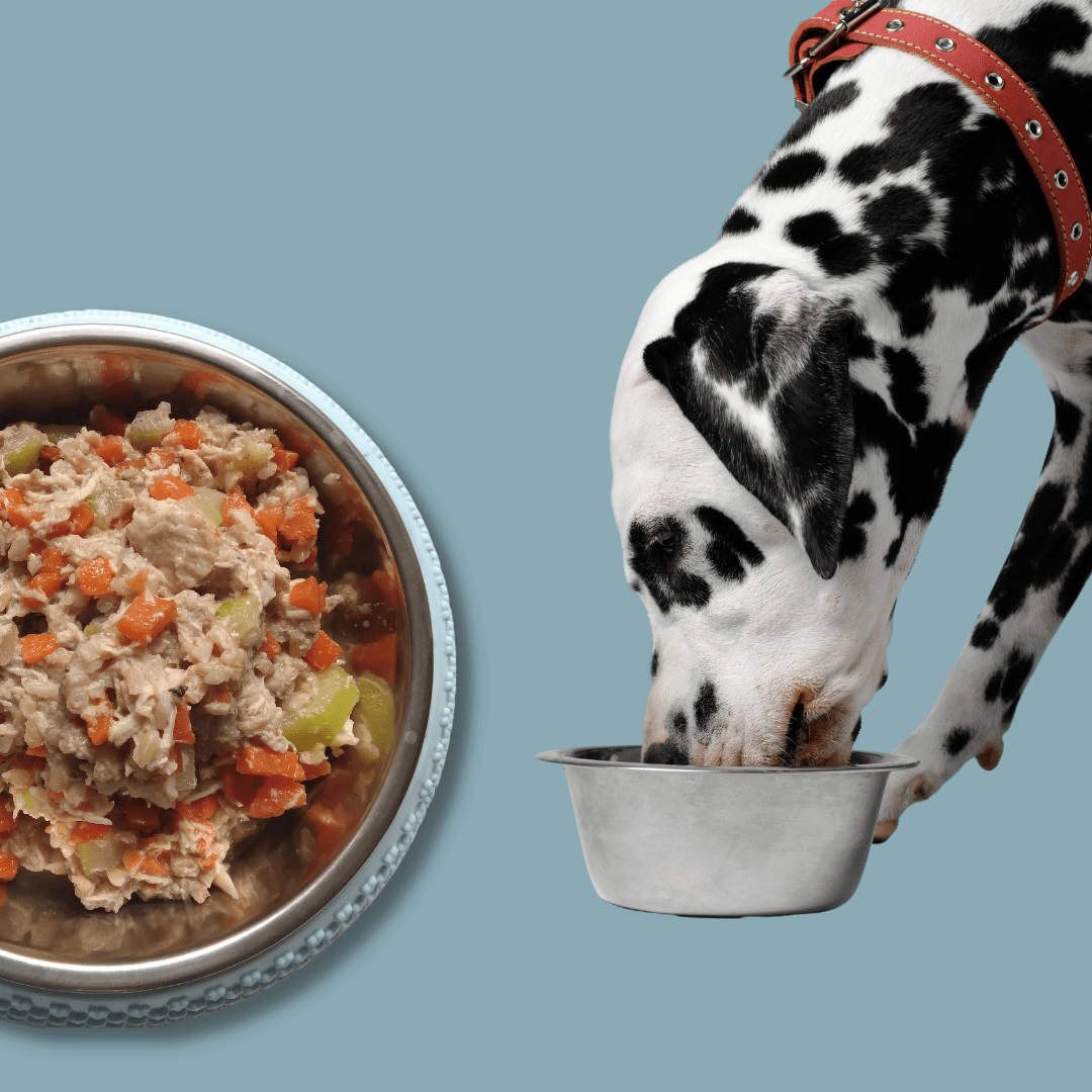 Fresh Meals For Dogs Weekly Plan (14 Meals), Customised, Made Fresh Daily, Zero Preservatives, High In Protein