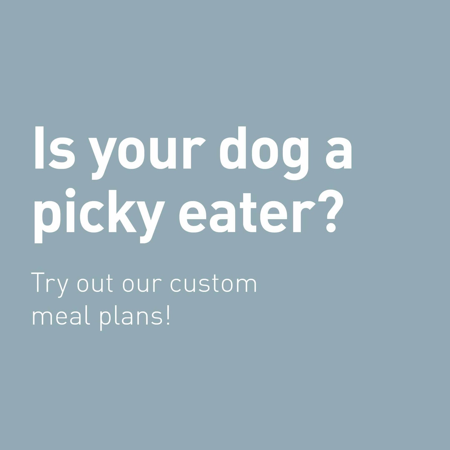 Fresh Meals For Dogs Weekly Plan (14 Meals), Customised, Made Fresh Daily, Zero Preservatives, High In Protein