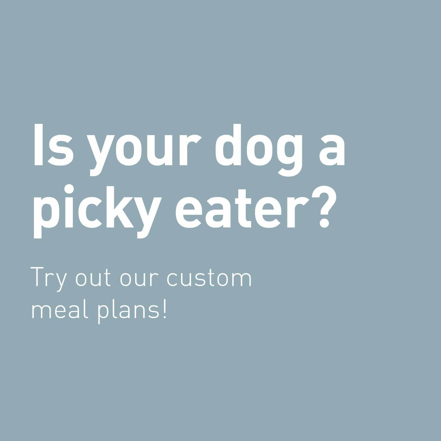 Fresh Meals For Dogs Weekly Plan (14 Meals), Customised, Made Fresh Daily, Zero Preservatives, High In Protein